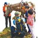 신라카써비스 이미지