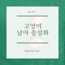 엘 동물병원 네이버블로그