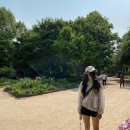 콩이언니