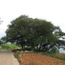 남해-313 이미지