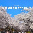 하늘도시 22호 근린공원 화장실 | 인천 벚꽃 sk석유화학 축제 실시간 주차 강아지