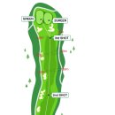 신안 퍼블릭 CC 이미지