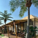 이장로 | 인디어라운드 아드리아 글램핑 내돈내산 26년 3월 방문후기 재방문 의사 있음