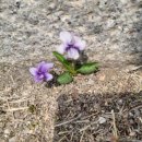 경복궁역(3) 이미지