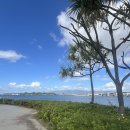 항구제2농장 이미지