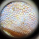 인터렙타일 이미지