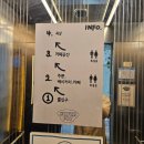 오남저수지 카페 실버팟, 남양주 브런치카페 대형 화덕피자 솔직 후기