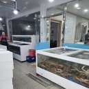 하이벳수산 대게 할인이벤트로 구매후기