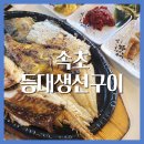 등대생선구이 | 속초 생선구이 맛집 추천 아바이마을 등대생선구이 후기 아이랑 식당