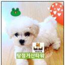 거산동물병원 이미지