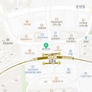 크리스탈 반려견미용실 이미지