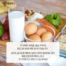 에브리쉐어 이미지