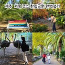 제주 한림공원 방문후기｜부모님 모시고 가기 좋은 코스, 반려견 동반 가능 명소
