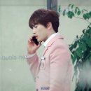 요나요나 이미지