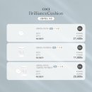 나우스토리(통신판매업) | 코씨 광채쿠션 coci 최초할인 17호 /21호 /23호 비교 공구오픈 내돈내산 솔직후기