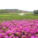 장흥골프랜드 이미지