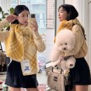 스윗 피플 이미지