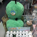 강남대서점 이미지