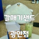 맘스터치 민락수변점 | 광안리 기념품 갈매기샌드 광안점 오션뷰 카페 디저트 추천