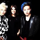 글로벌스타 이미지