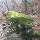 이오농장 이미지