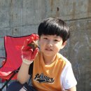 추암오토캠핑장 네이버블로그