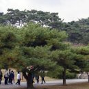 남구-008 이미지