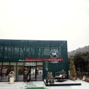 애니멀랜드 이미지