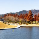 행정사법인 청효 이미지