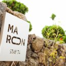 Maroon stay 이미지