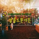 살롱 드 문(salon de moon) 이미지