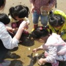 포내어촌체험휴양마을 이미지