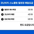 월정포인트