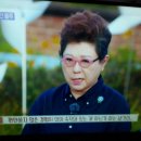 2019년 7월21일 mbc라디오 양희은 서경석 여성시대 강석 김혜영 싱글벙글쇼 추가열가수님 이미지