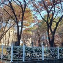필마공원 네이버블로그