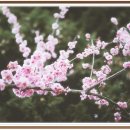 오교대 반석 | 숙종은 이 책에서 다음과 같이 쓰고 있습니다~!!!