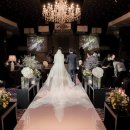 웨딩프로포즈 이미지