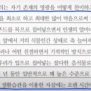 수위트빌 이미지