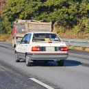 비볼코리아 | 2025 폭스바겐 골프 트레펜 코리아 참가 후기 (2025 Volkswagen Golf Treffen Korea)