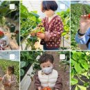 곡강농장 이미지