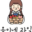 옥이네과일