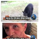 이김 이미지