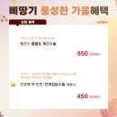 삐땅기의원 이미지