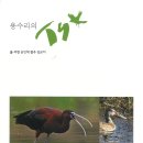 담은제주법인