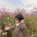 아름드리공원 화장실 이미지