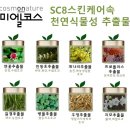 코스모네이처 이미지