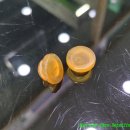 경화카정비 세차 이미지