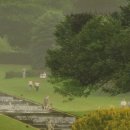 아름다운스킨케어 이미지