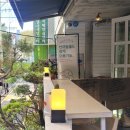 어바웃웰 | 선정릉 반려동물 동반 가능 힐링숲뷰 카페, 어바웃 포레스트