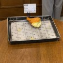 광장19호 | [인천] 부평역 빵집 맛집 부평 에키노마에 후기 (내돈내산)